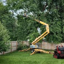 Best Hedge Trimming  in California, PA